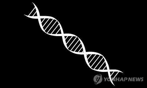 유전자 DNA(그래픽)[연합뉴스 자료사진]